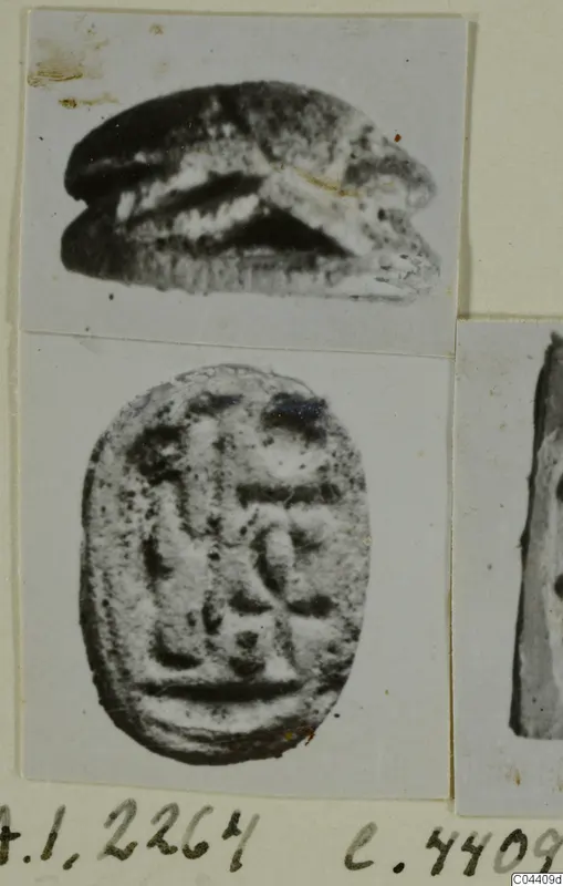 Scarab seal shown in side profile and from its flat base, with an incised design of signs on the base.