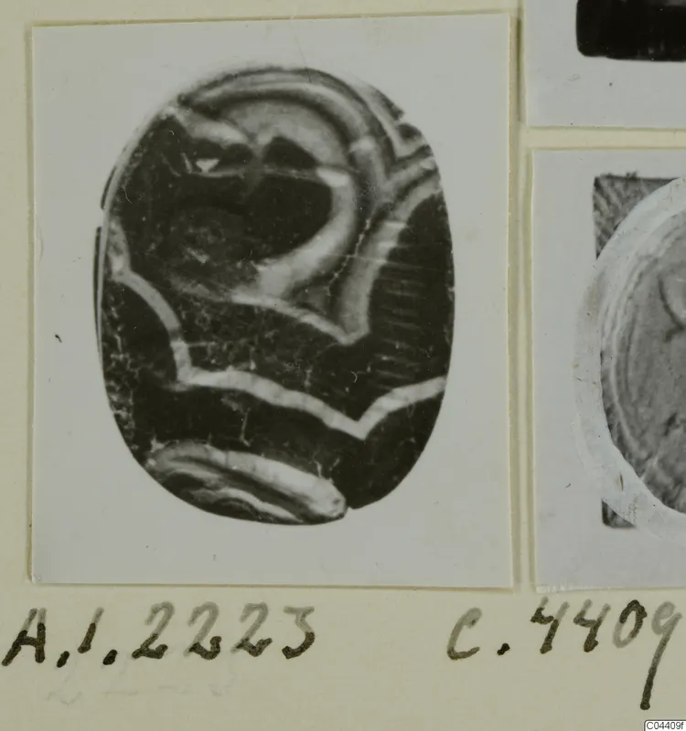 Oval engraved seal or gem with pale curved bands, shown on a card alongside other photographs.