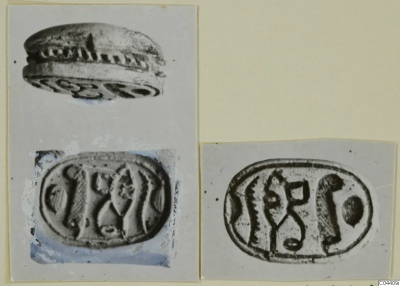 Three photographs of engraved seals and a scarab mounted on a grey card