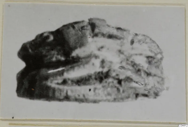 Blurred close view of a small stone seal or scarab from Ayia Irini, mounted on a card