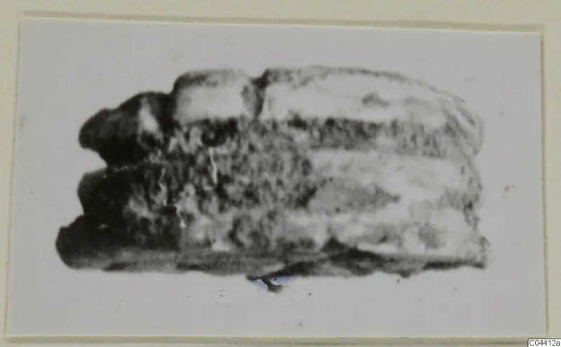 Blurred photograph of a small stone object, possibly a scarab, from the Ayia Irini seals and gems series