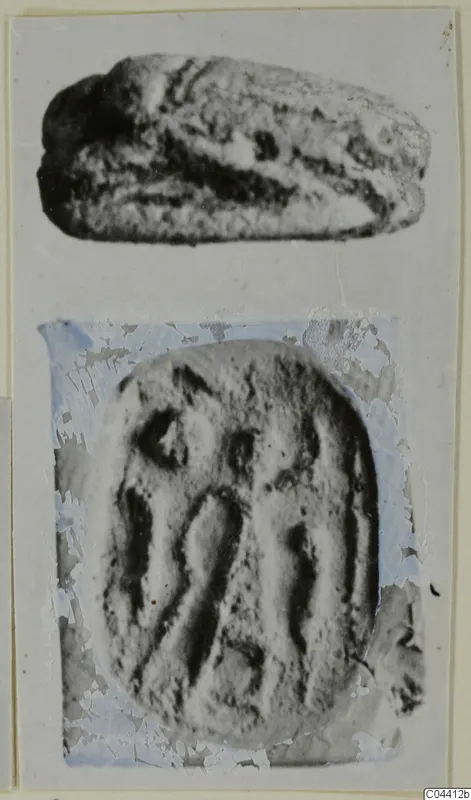 Two photographs of a scarab seal, its rounded back above and its engraved flat base below, on a card.