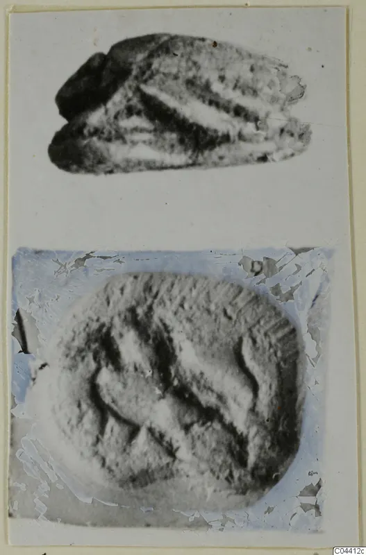 Two photographs of a small stone scarab with incised grooves, one showing its side and one its flat face