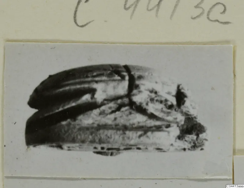 Stone scarab from Ayia Irini, seen from the side and mounted on a card