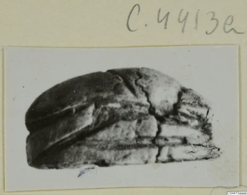 Dark stone object, possibly a seal or gem, with horizontal ridges and a crack, photographed on a mounted card
