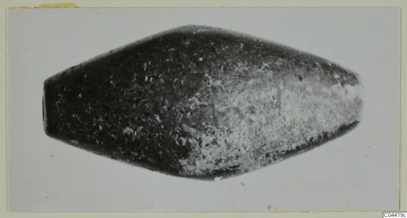 Elongated double-cone find with a dark, mottled surface, photographed on a grey background