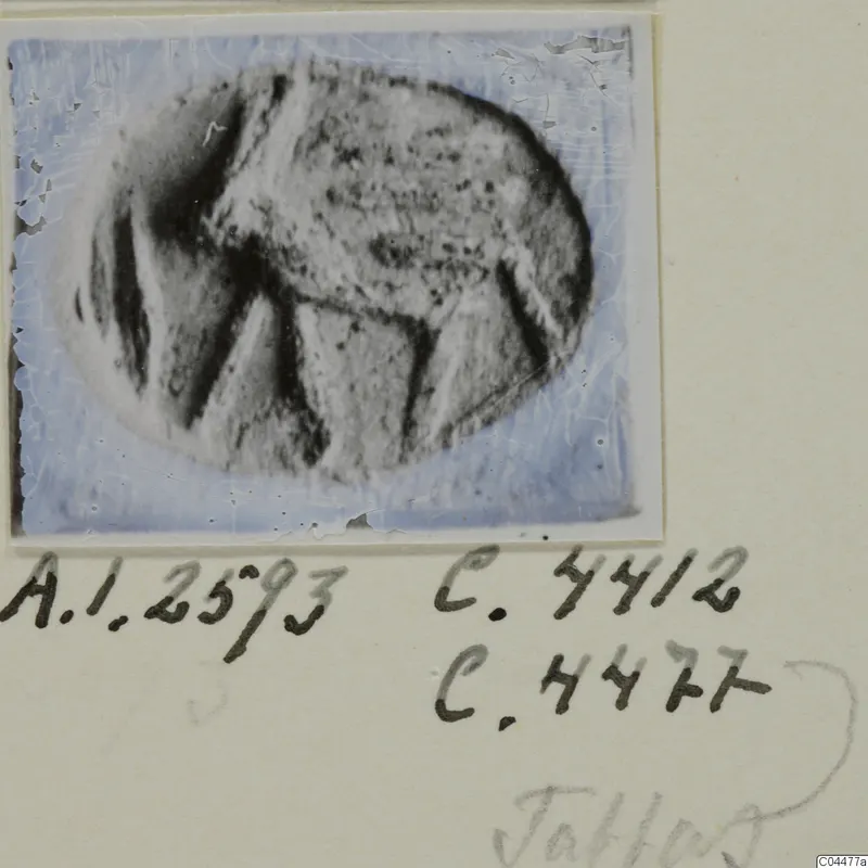 Oval stone seal with a carved design, shown as a print mounted on a card with handwritten numbers