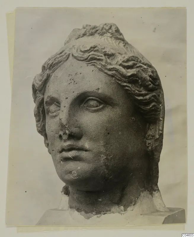 Stone head of a statue from Arsos, with wavy hair drawn up and a chipped nose
