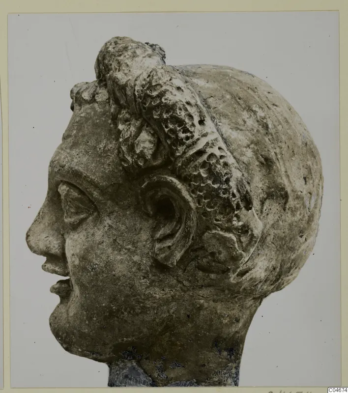 Head of a female statue in limestone, shown in profile, with hair in a high bun and an ear visible.