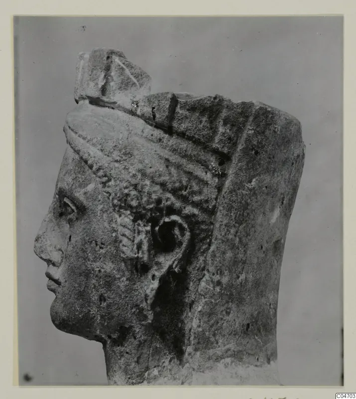 Stone statue head in profile facing left, Arsos VIII-IX