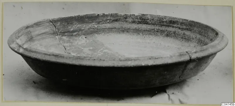 Shallow pottery bowl with a thick rounded rim, seen from the side on a pale surface