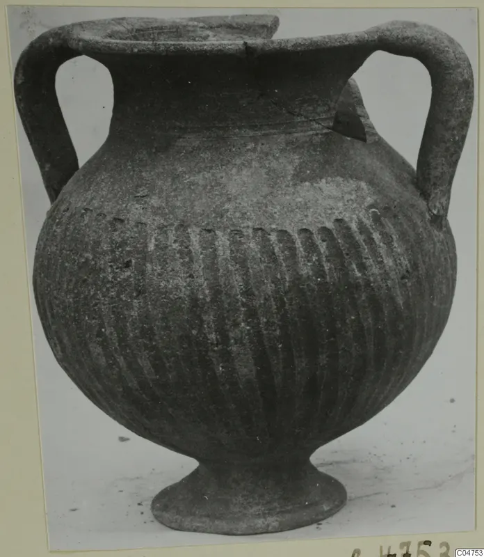 Black-slipped pottery jug with two loop handles, a wide body with vertical fluting, and a low foot, photographed against a pale background.