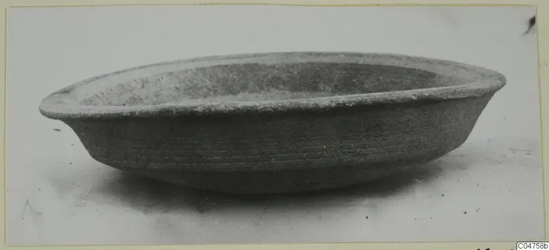 Shallow open bowl with a thick, slightly flaring rim, photographed in side view on a pale surface