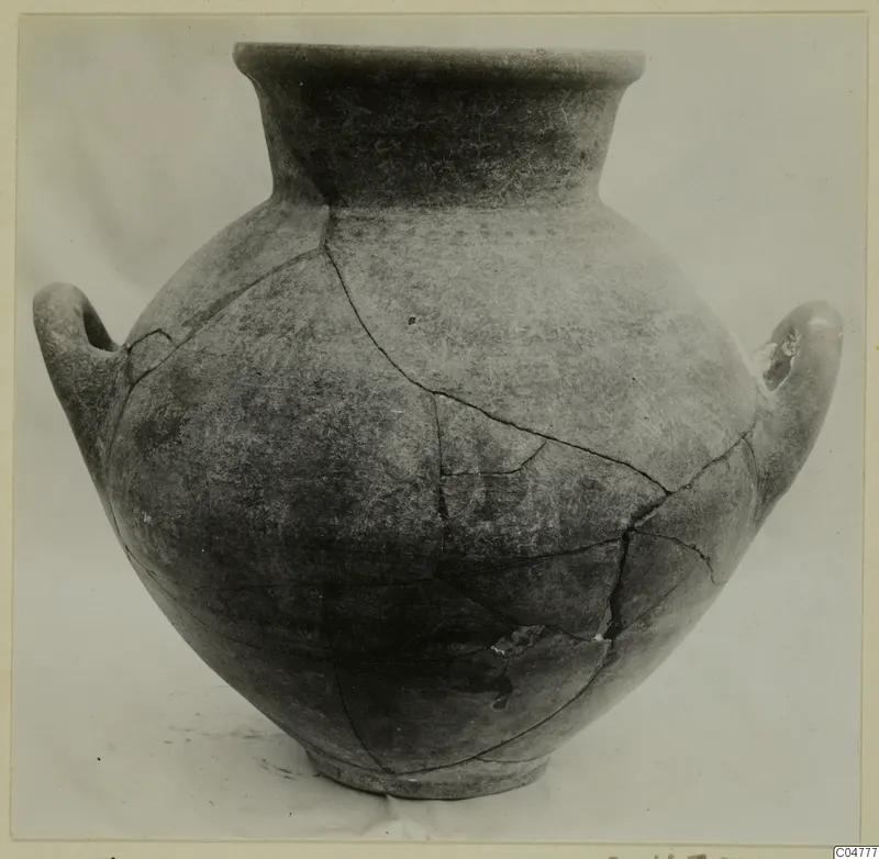 Two-handled jar with a tall flaring neck and a repaired crack pattern, photographed alone against a plain grey background.
