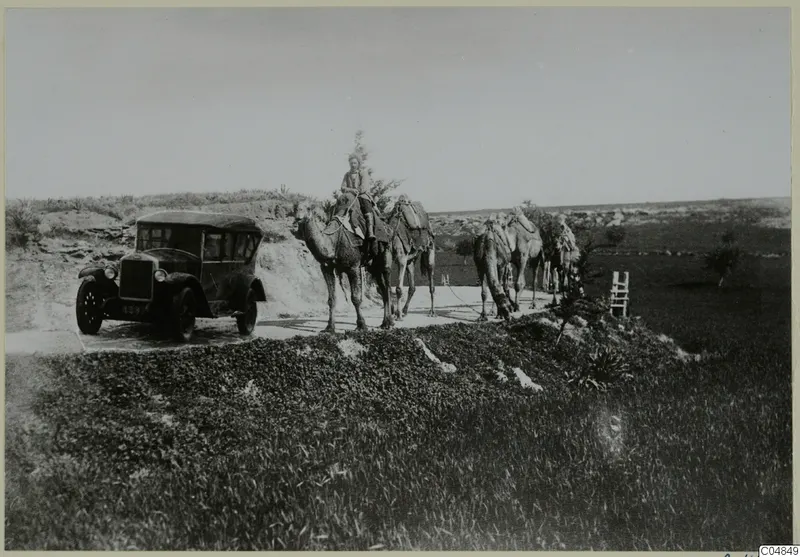 Dark car beside a line of camels on a dirt road, with a rider on the lead camel.