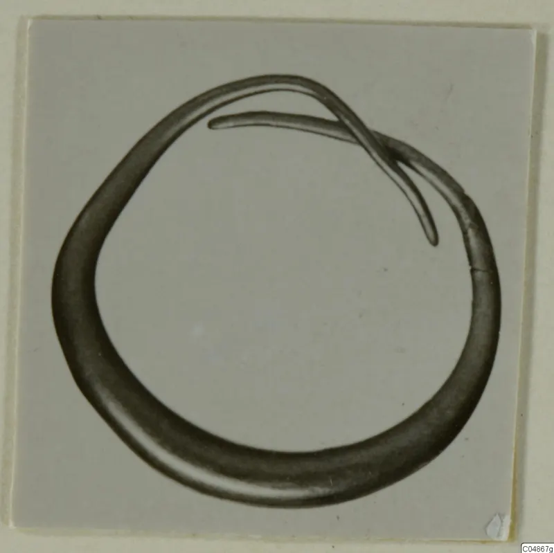 Earring: a thick ring with a thin strand crossing its upper part