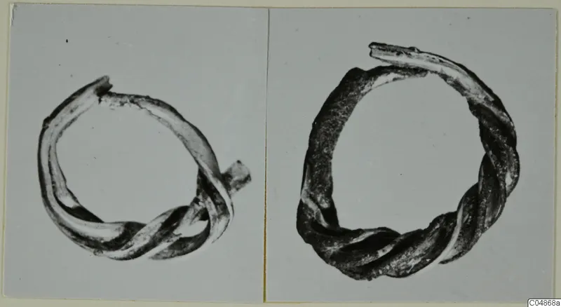 Two twisted metal rings with open ends, each photographed separately on a shared card mount.