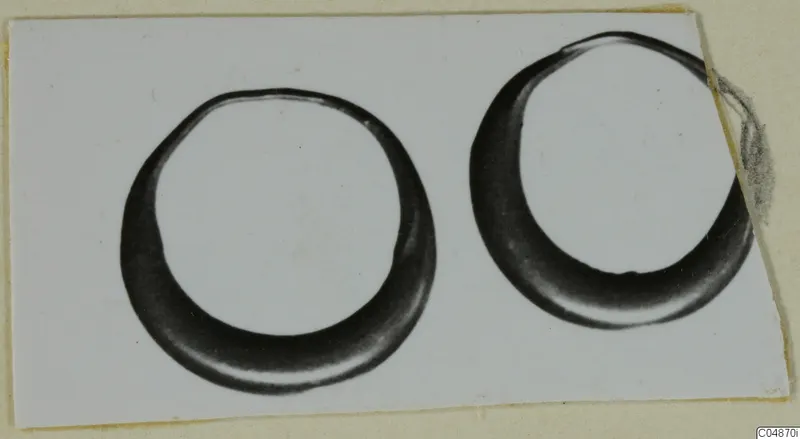 Two dark, hoop-shaped rings photographed side by side on a white card mount.