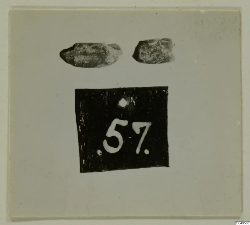 Two small worn objects above a black number label, shown on a light card mount