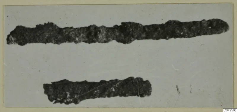 Two corroded bronze objects from Amathus, elongated and irregular in outline, on a pale ground.