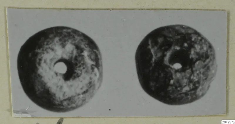 Two round objects with central holes, shown side by side on a photo mount