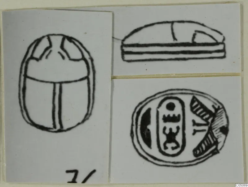Pen drawings of a scarab seal in three views: back, side and flat base with signs