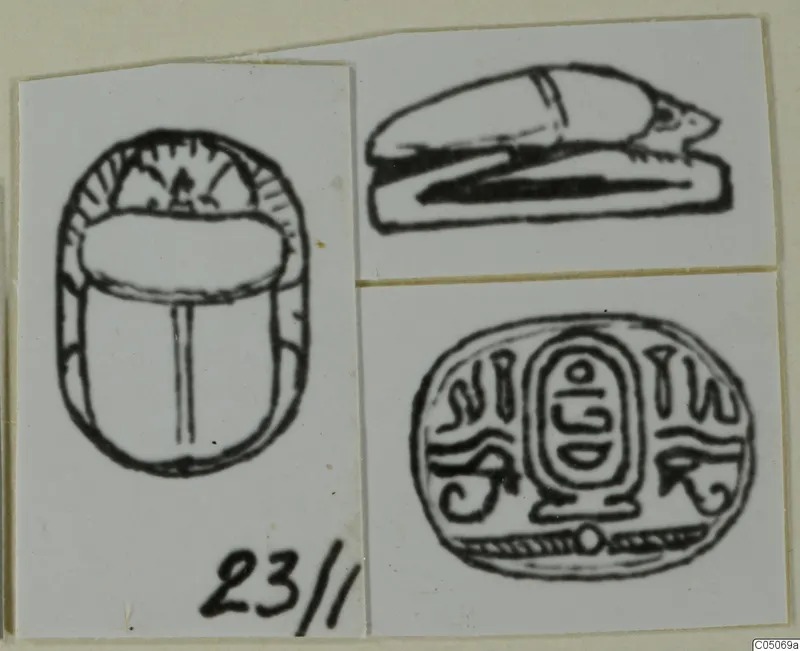 Drawings of three scarab seals, shown from above, from the side and from the base