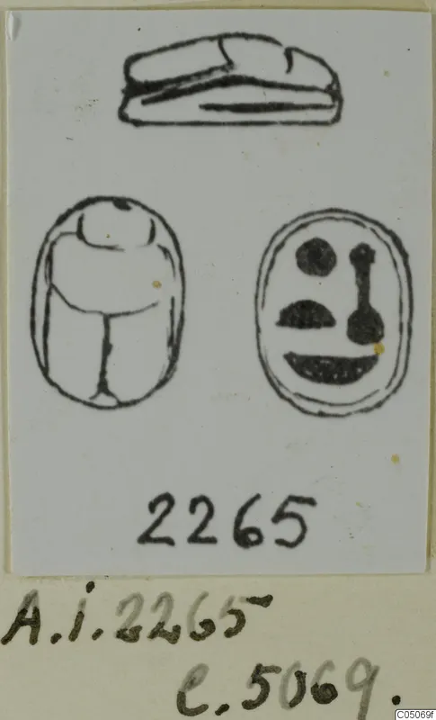 Drawings of a scarab seal from Ayia Irini: side view, scarab back and engraved base