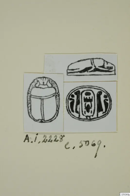 Ink drawings of a scarab seal from Ayia Irini: top view, side view and inscribed base, mounted on a card.