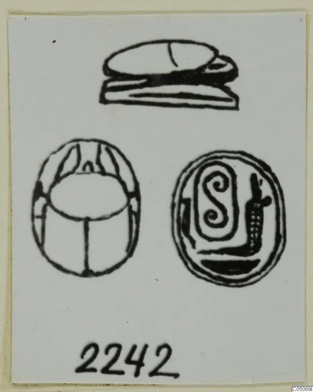 Drawing of a scarab seal shown from its side and base, with an oval seal face beside it.