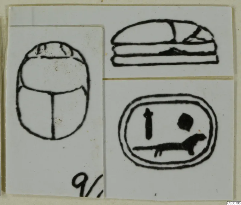 Ink drawings of two scarabs and an oval seal design, mounted together on a white card