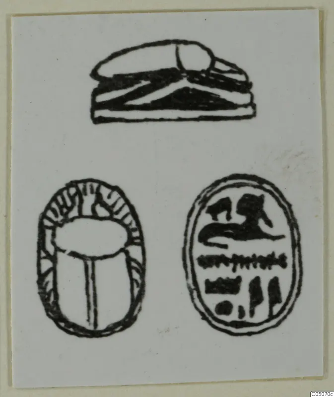 Drawing of three seal-type objects, two of them scarabs: one showing its back, one its flat base.