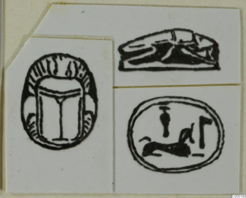 Field drawings of three seals, one scarab-shaped, pasted on a card mount