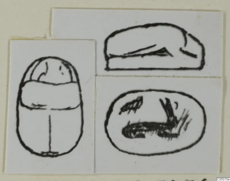 Ink drawings of a scarab seal from Ayia Irini, showing its back, side profile and flat base