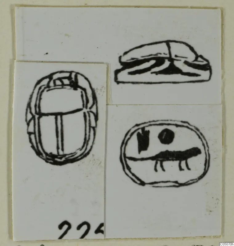 Ink drawings of a scarab seal shown in three views: back, side profile and base, pasted on a pale card.