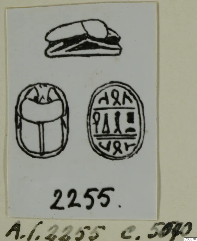 Drawing of a scarab seal in three views: side profile, back and inscribed base.