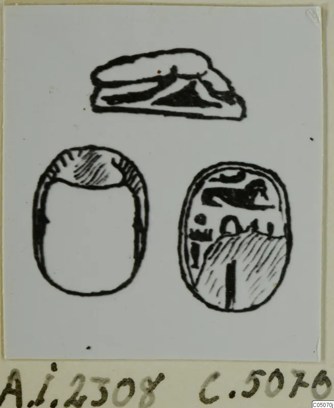 Drawing of a scarab seal in three views: flat side at top, plain back and carved face below.