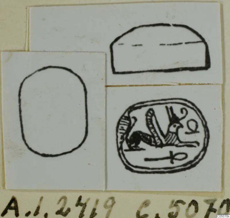 Line drawings of a scarab seal: a side profile, an empty base outline and an engraved base with a crouching creature.