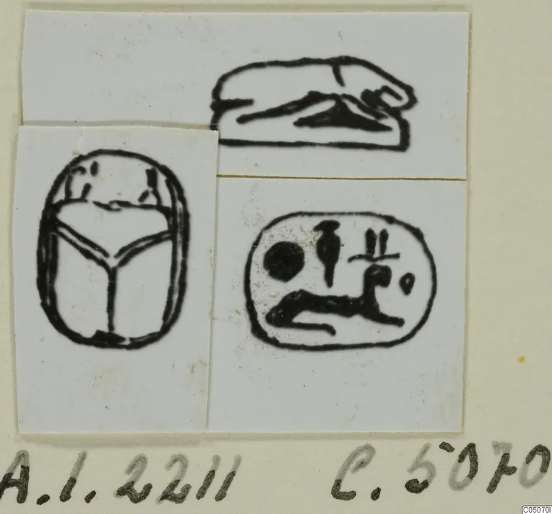 Ink drawings of a scarab and two seal designs, mounted on white cards