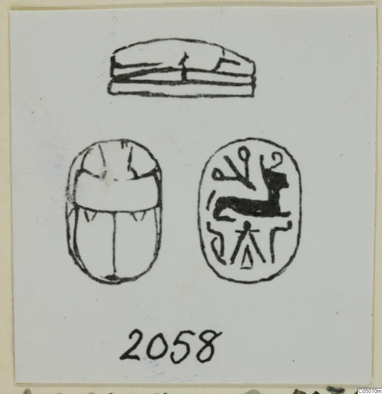 Drawing of a scarab seal in three views, its engraved base showing a crouching animal and signs