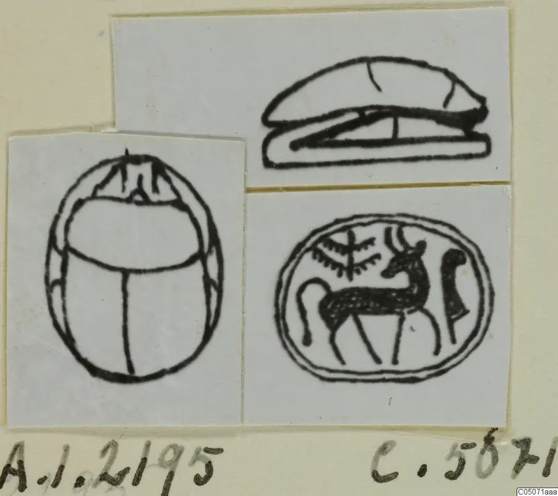 Drawings of a scarab beetle and an oval seal with a horned animal and plant motif