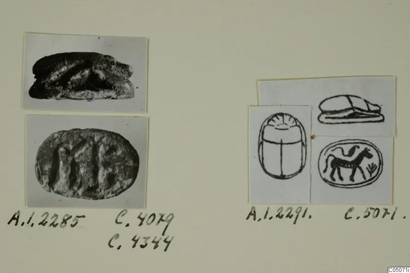 Photographs and drawings of scarabs and engraved gems mounted on an album page