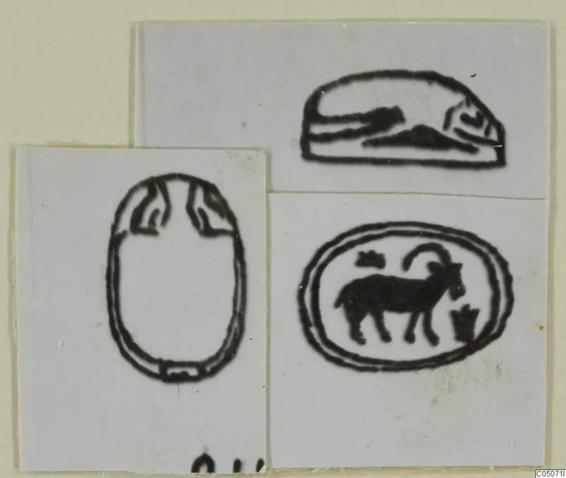 Three black-line drawings of seals on white card: an oval scarab-type seal at left, an oval with a horned animal, and a domed seal.