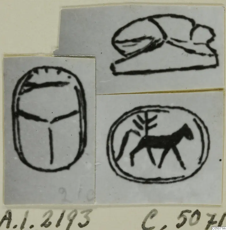Ink drawings of a scarab and two seal faces: a walking animal beside a branching tree, and a recumbent animal.