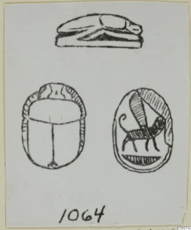 Drawing of seal objects from Ayia Irini: a scarab, an oval seal engraved with an animal, and a recumbent animal seal