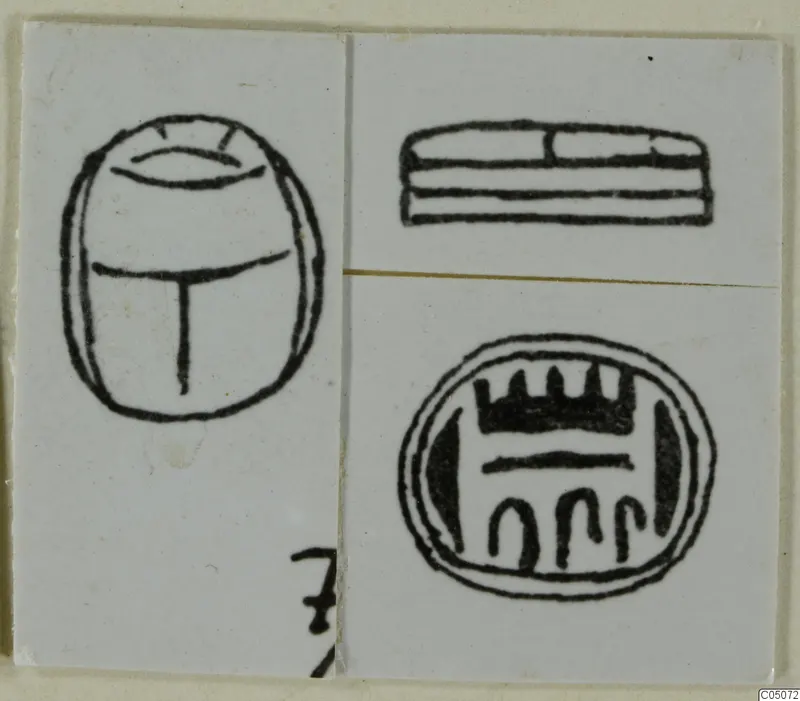 Drawings of three seals on white cards: a scarab-shaped seal, a flat seal seen from the side, and an oval seal face.