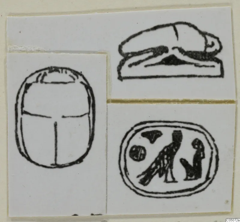 Line drawings of a scarab and two other seals with carved designs, each pasted on white paper