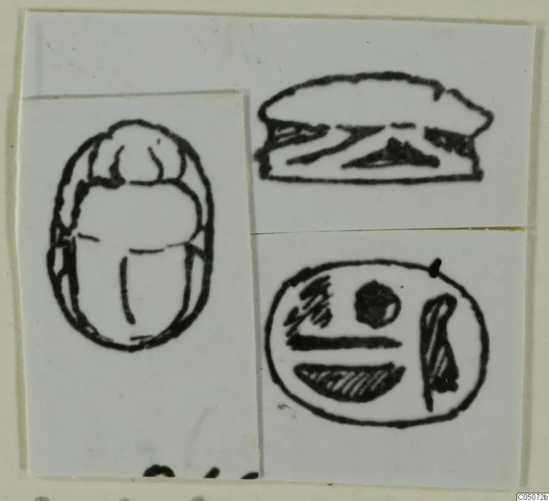 Ink drawing of a scarab seal in three views: back, side profile and flat base.