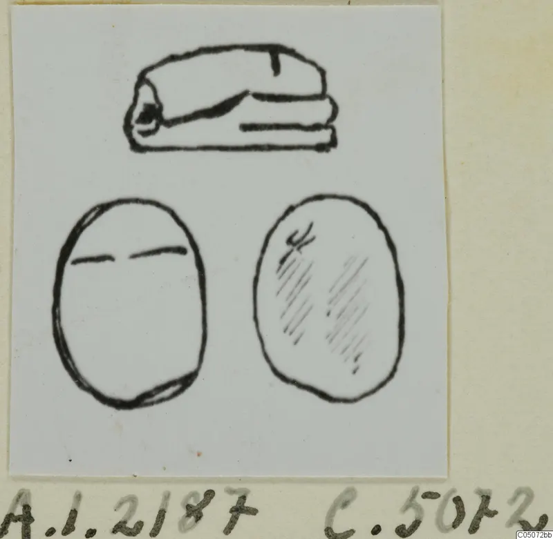 Ink drawing of three small finds from Ayia Irini: one elongated piece and two oval objects