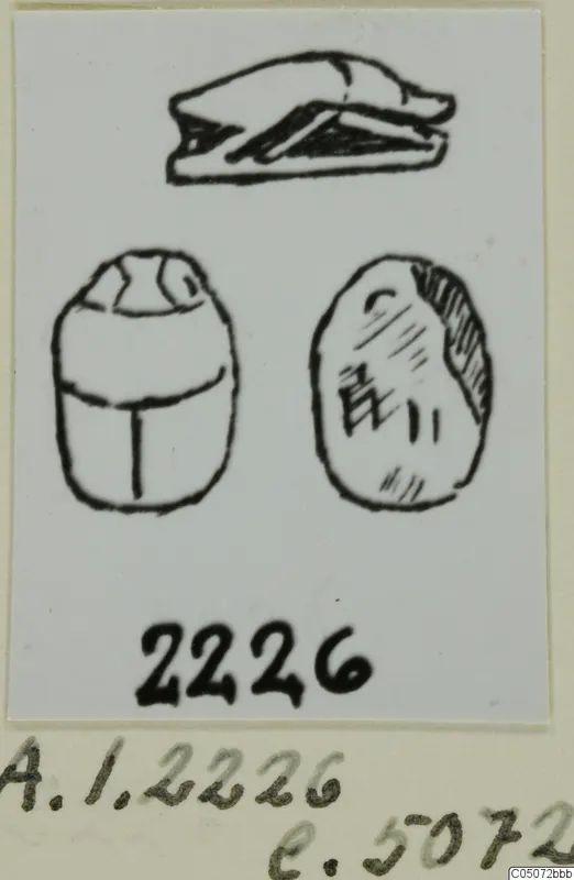 Ink drawing of a scarab seal from Ayia Irini, showing its back, its engraved base and a side profile of a flat object above